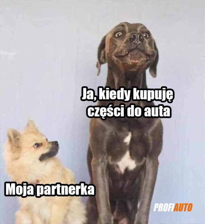 Co ostatnio kupiłeś do swojego samochodu❓