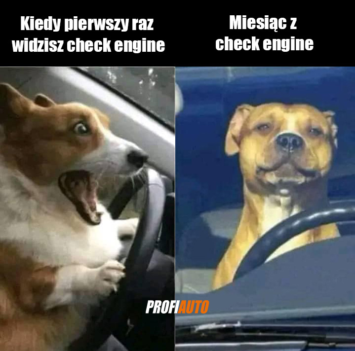 Zaprzyjaźniasz się z problemem czy szukasz mechanika❓