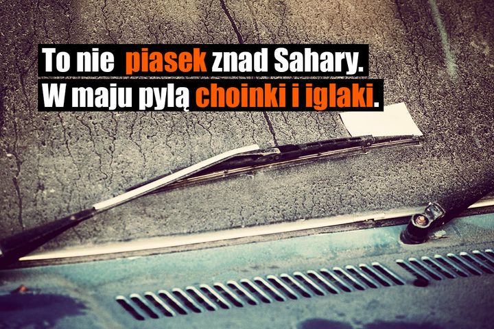Saharyjski piasek pojawia się u nas na przełomie lutego i marca. Jest groźniejszy od pyłu z drzew,…