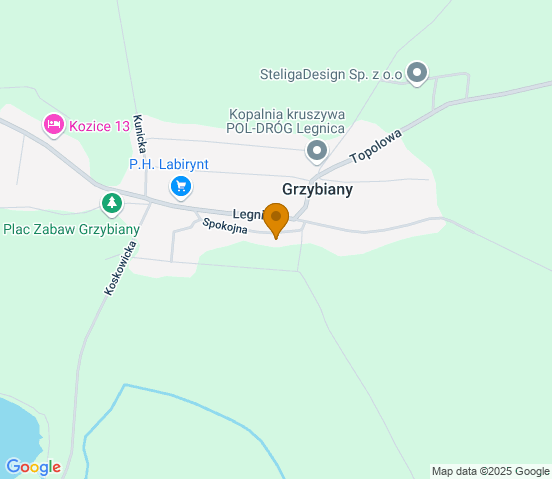 Mapa dojazdu do warsztatu samochodowego w miejscowości Grzybiany