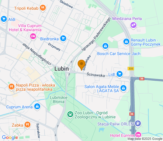 Mapa dojazdu do warsztatu samochodowego w miejscowości Lubin