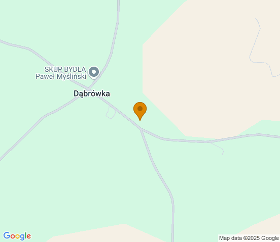 Mapa dojazdu do warsztatu samochodowego w miejscowości Dąbrówka
