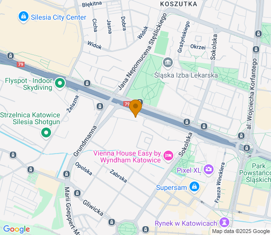 Mapa dojazdu do warsztatu samochodowego w miejscowości Katowice