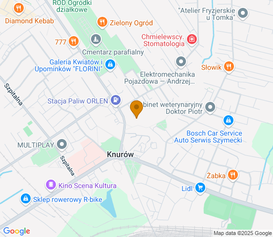 Mapa dojazdu do warsztatu samochodowego w miejscowości Knurów