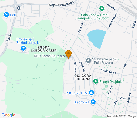 Mapa dojazdu do warsztatu samochodowego w miejscowości Świętochłowice