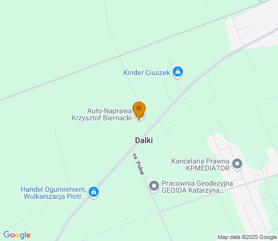 Mapa dojazdu do warsztatu samochodowego w miejscowości Gniezno