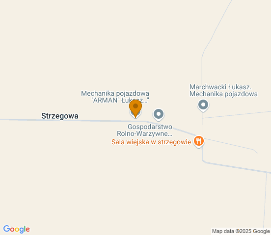 Mapa dojazdu do warsztatu samochodowego w miejscowości Nowe Skalmierzyce
