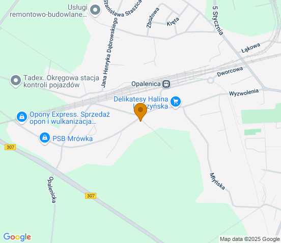 Mapa dojazdu do warsztatu samochodowego w miejscowości Opalenica
