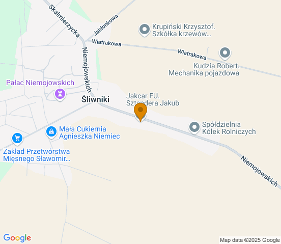 Mapa dojazdu do warsztatu samochodowego w miejscowości Śliwniki