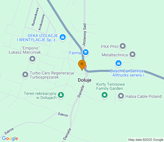 Mapa dojazdu do warsztatu samochodowego w miejscowości Dołuje